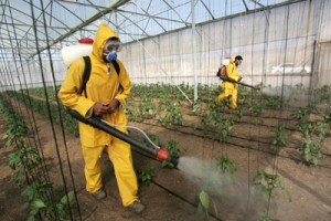 spraying-pesticides